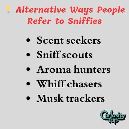 sniffies meaning sniffies meaning