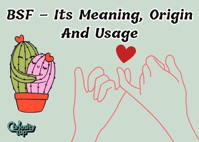 BSF – Its Meaning, Origin And Usage