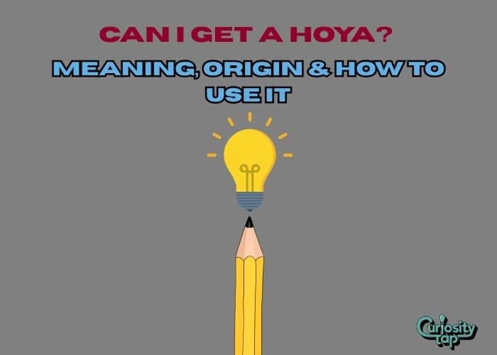 Can I Get a Hoya? Meaning, Origin & How to Use It