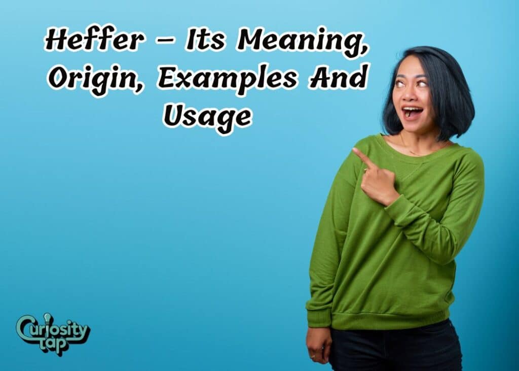 Heffer – Its Meaning, Origin, Examples And Usage