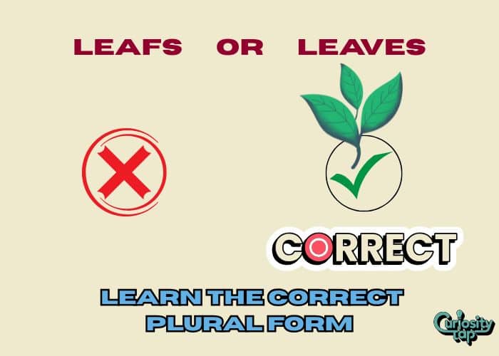 Leafs or Leaves? Learn the Correct Plural Form