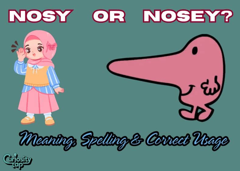 Nosy or Nosey? Meaning, Spelling & Correct Usage