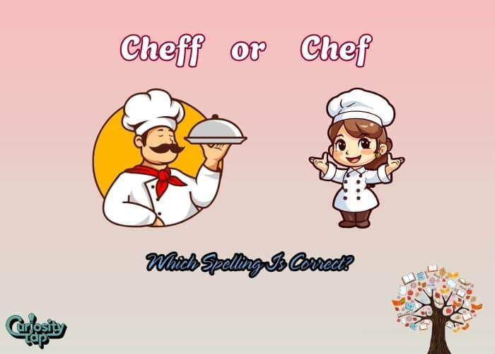 Cheff or Chef – Which Spelling Is Correct