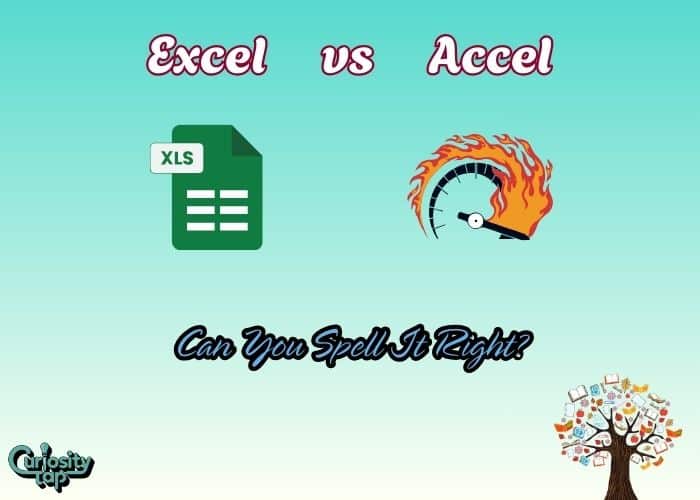 Excel vs Accel Can You Spell It Right
